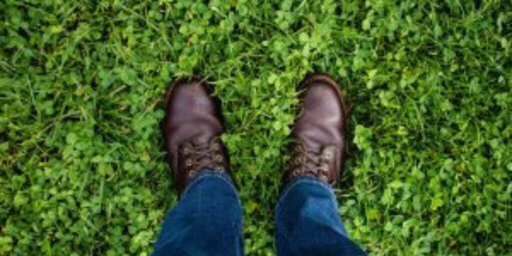 Is It Illegal to Wear Shoes in Australia: Myths & Facts Explained