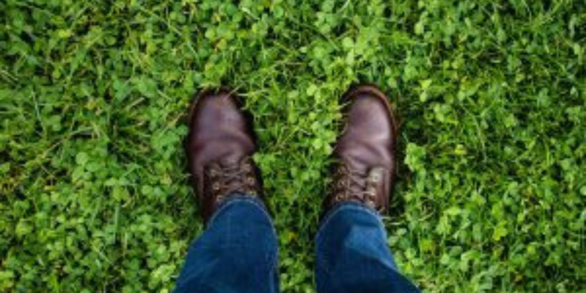 Is It Illegal to Wear Shoes in Australia