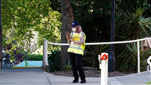 do casual employees get paid on public holidays