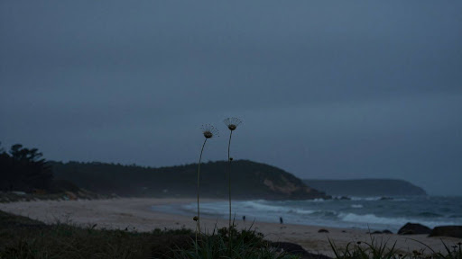 Explaining the word Vale as a respectful goodbye for the deceased