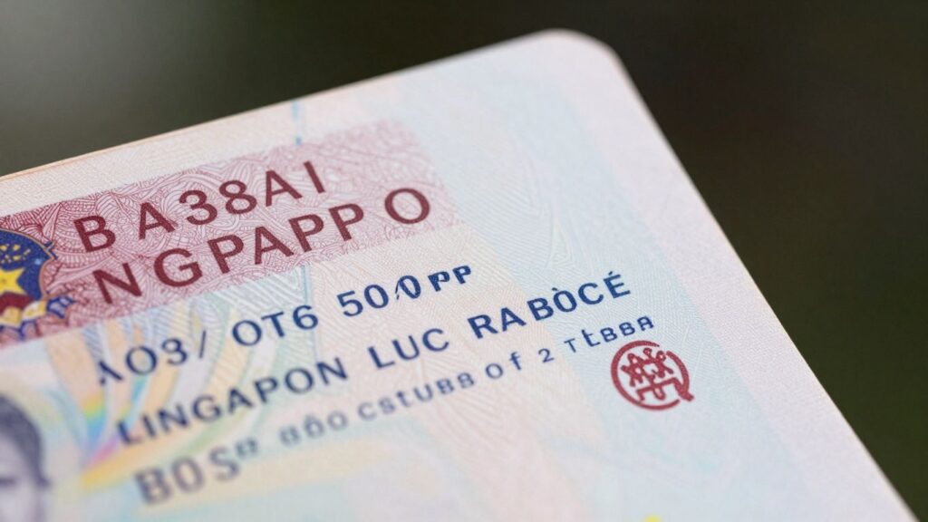visa extensions and overstay penalties in singapore